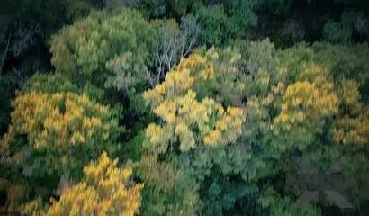 Busty MILF Alexis Fawx enjoys a taste of my dick during public sex