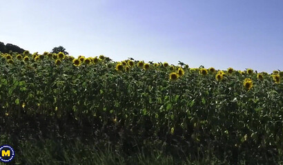 Naughty French mom Flora Milano is hitchhiking for a cock and she gets two