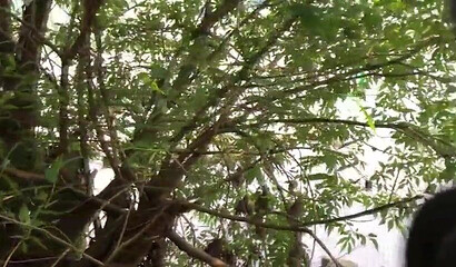 German Teen caught 3 times while fucking at the Danube